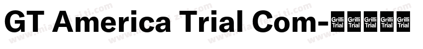 GT America Trial Com字体转换